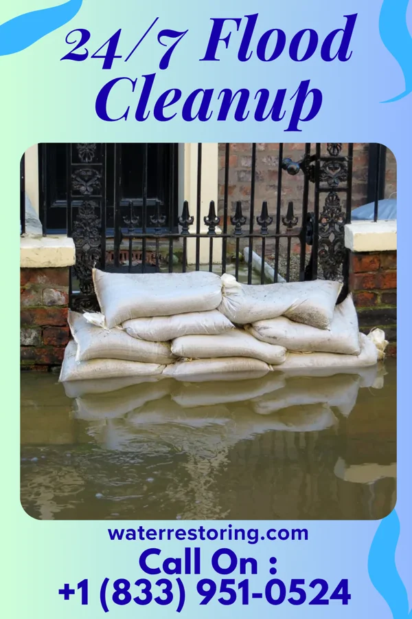 24/7 Flood Cleanup in Elkmont, AL