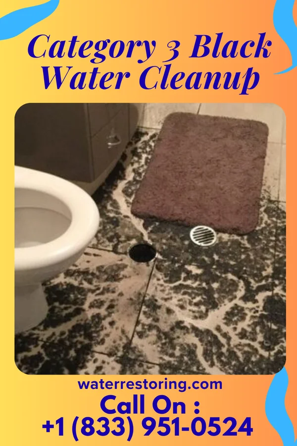 Category 3 Black Water Cleanup in Elkmont, AL