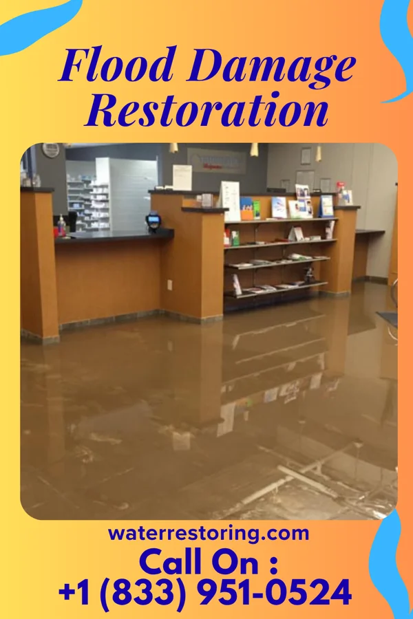 Flood Damage Restoration in Elkmont, AL